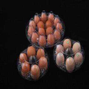 Egg tray