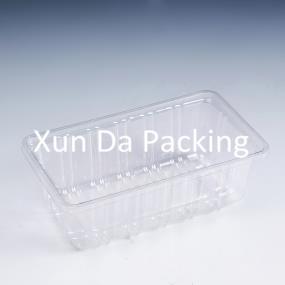 clear plastic food tray